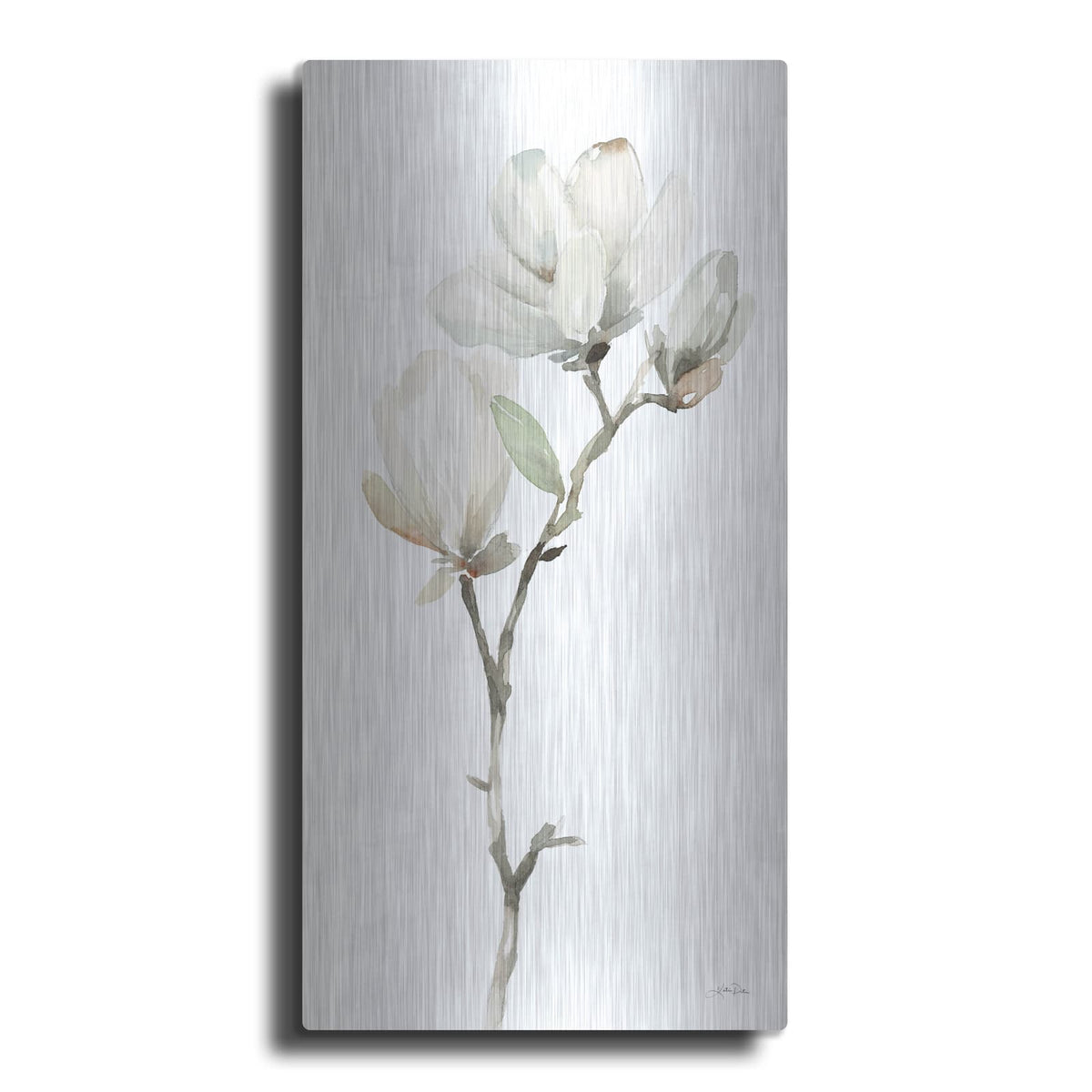 'White Magnolia 2' by Katrina Pete – Metal Wall Art