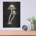 'Mystical Halloween Mushrooms 2' by Mary Urban – Metal Wall Art, 12x16 room view
