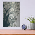 'Branching Out 1' by Debra Van Swearingen – Metal Wall Art, 12x16 room view