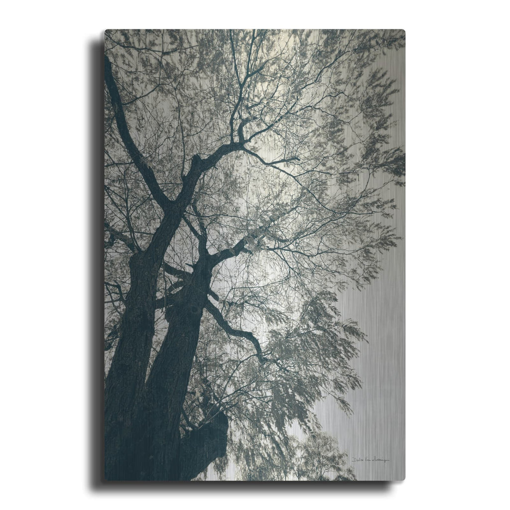 'Branching Out 1' by Debra Van Swearingen – Metal Wall Art