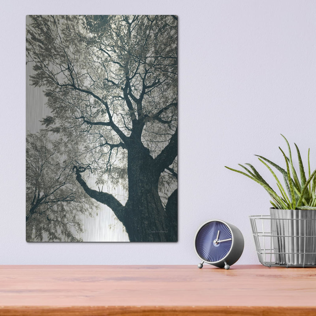 'Branching Out 2' by Debra Van Swearingen – Metal Wall Art, 12x16 room view