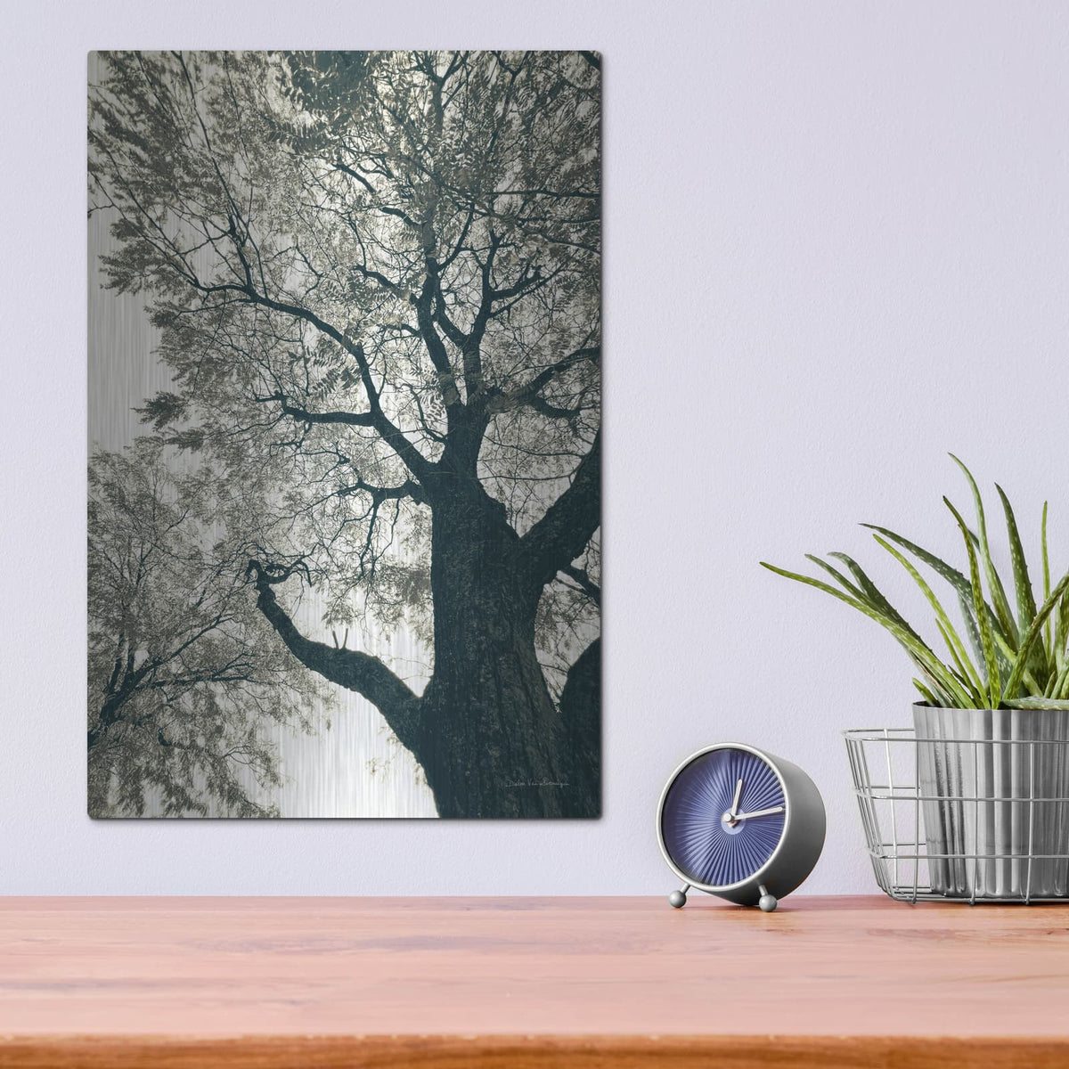 'Branching Out 2' by Debra Van Swearingen – Metal Wall Art, 12x16 room view