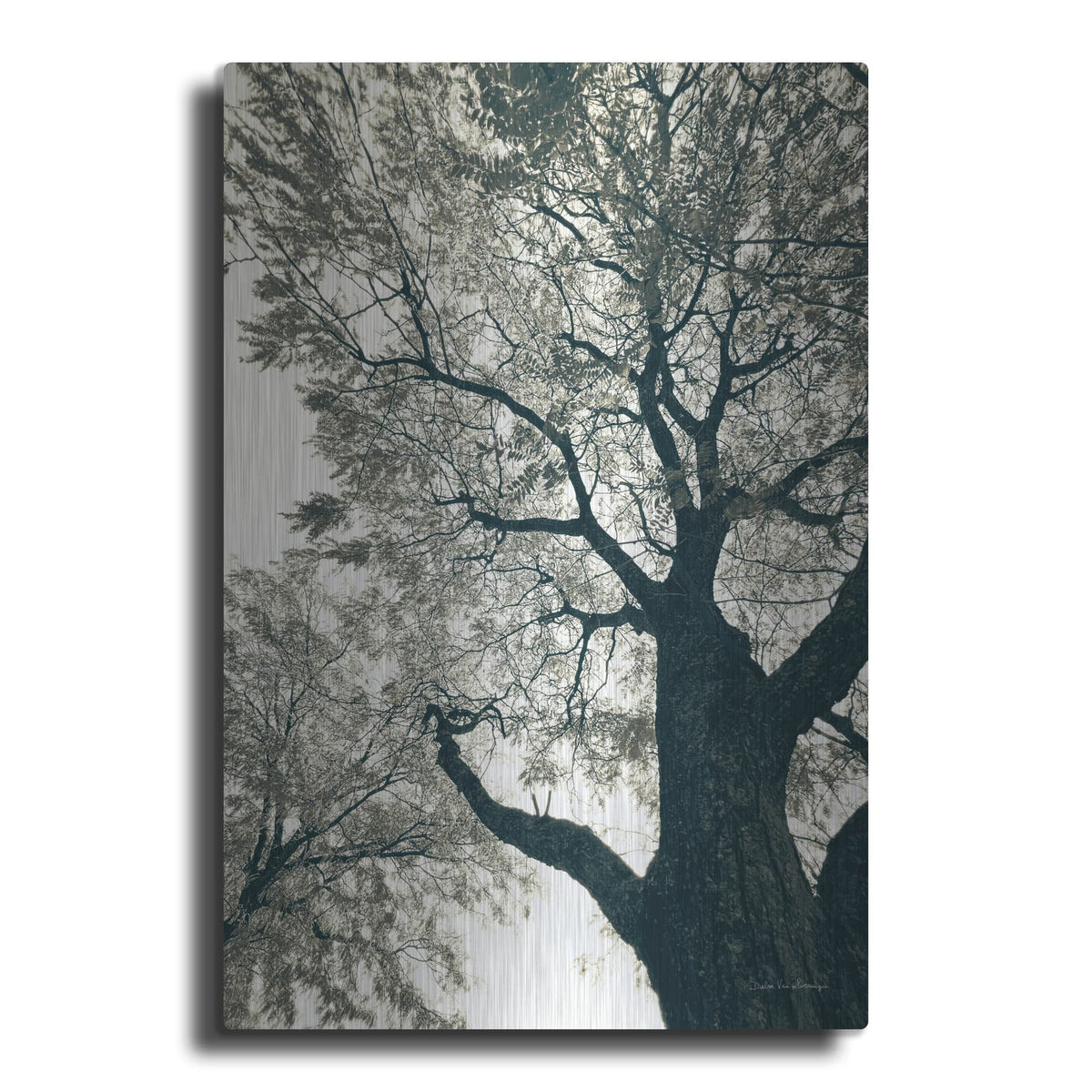 'Branching Out 2' by Debra Van Swearingen – Metal Wall Art