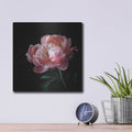 'Coral Peonies 5' by Debra Van Swearingen – Metal Wall Art, 12x12 room view
