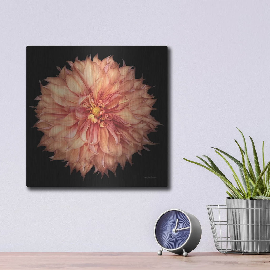 'Dahlia 1' by Debra Van Swearingen – Metal Wall Art, 12x12 room view