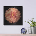 'Dahlia 1' by Debra Van Swearingen – Metal Wall Art, 12x12 room view