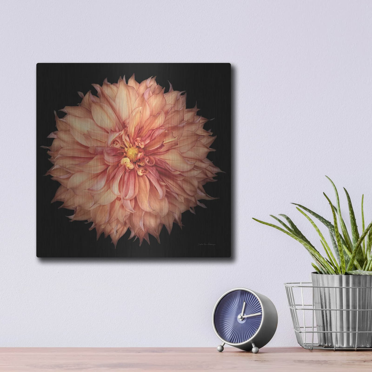 'Dahlia 1' by Debra Van Swearingen – Metal Wall Art, 12x12 room view