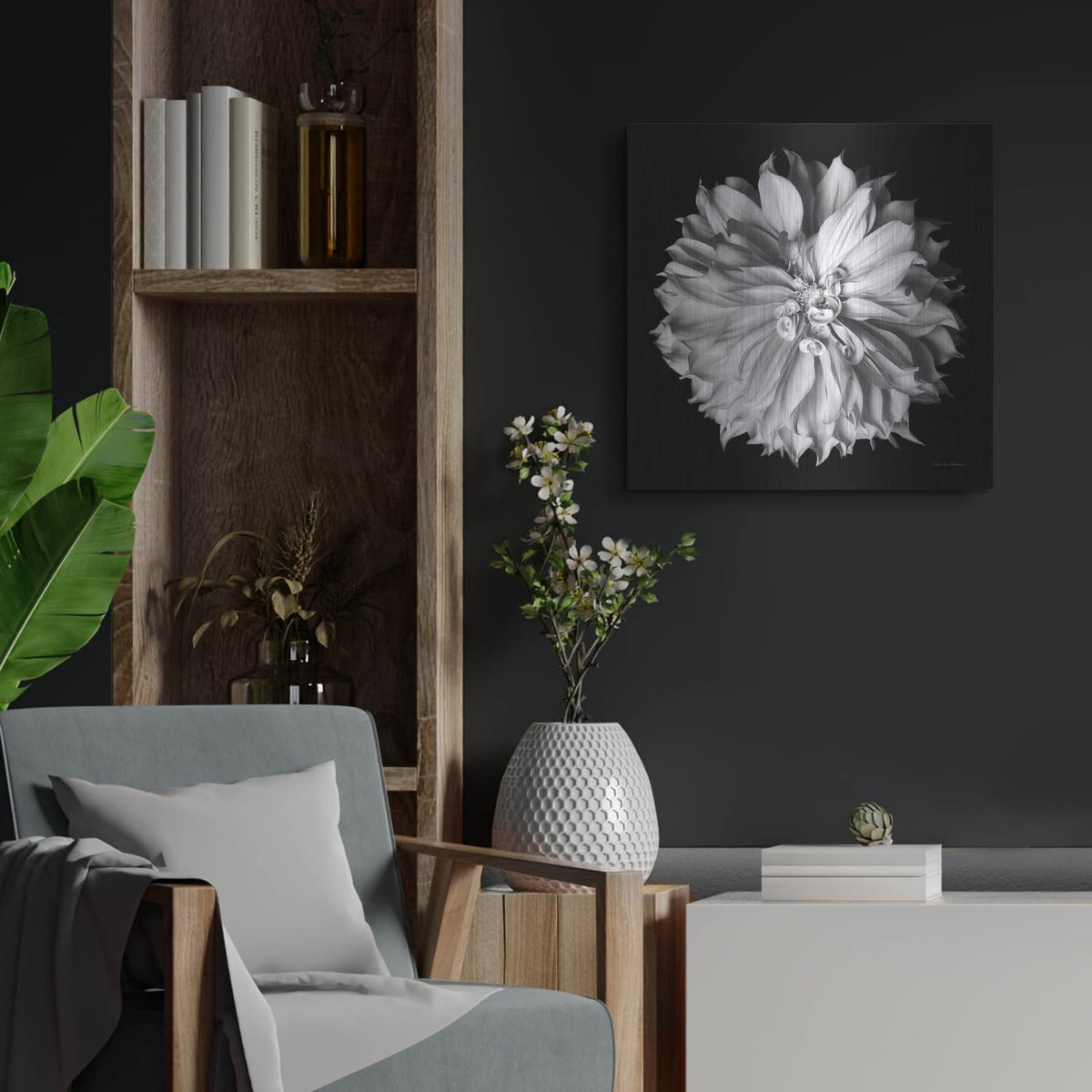 'Dahlia 2 Bw' by Debra Van Swearingen – Metal Wall Art, 24x24 room view