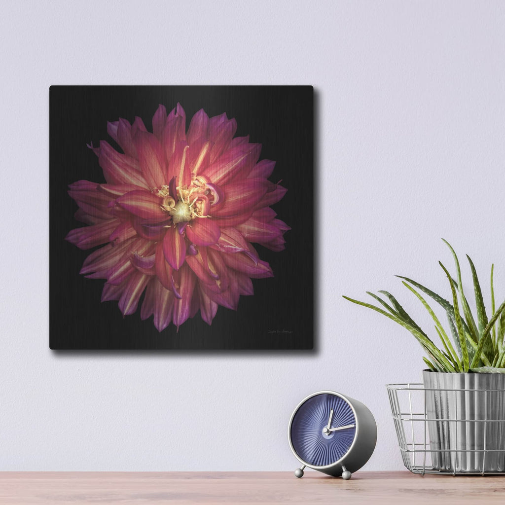 'Dahlia 3' by Debra Van Swearingen – Metal Wall Art, 12x12 room view