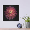 'Dahlia 3' by Debra Van Swearingen – Metal Wall Art, 12x12 room view