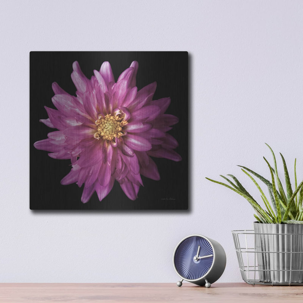 'Dahlia 5' by Debra Van Swearingen – Metal Wall Art, 12x12 room view