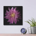 'Dahlia 5' by Debra Van Swearingen – Metal Wall Art, 12x12 room view