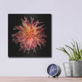 'Dahlia 6' by Debra Van Swearingen – Metal Wall Art, 12x12 room view