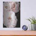 'Soft Pink Roses 2' by Debra Van Swearingen – Metal Wall Art, 12x16 room view