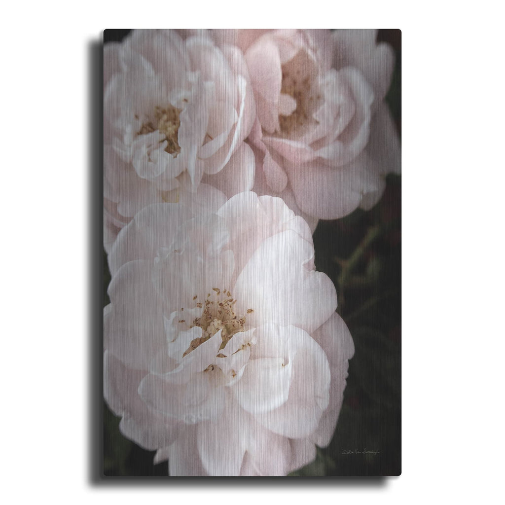'Soft Pink Roses 2' by Debra Van Swearingen – Metal Wall Art