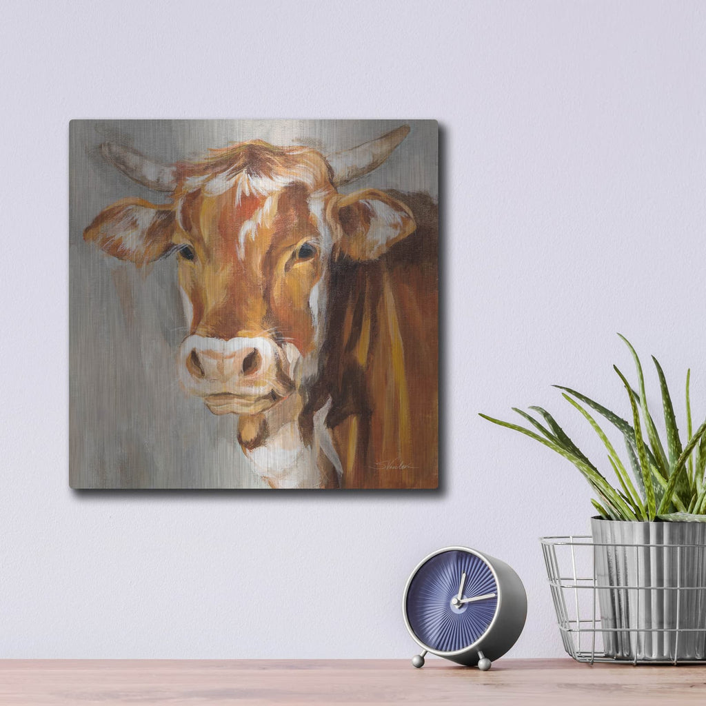 'Brown Cow' by Silvia Vassileva – Metal Wall Art, 12x12 room view