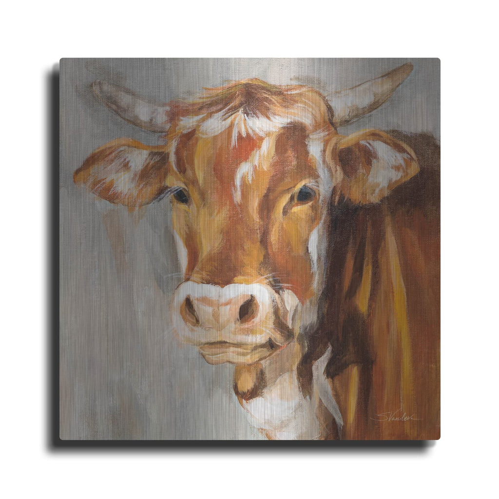 'Brown Cow' by Silvia Vassileva – Metal Wall Art