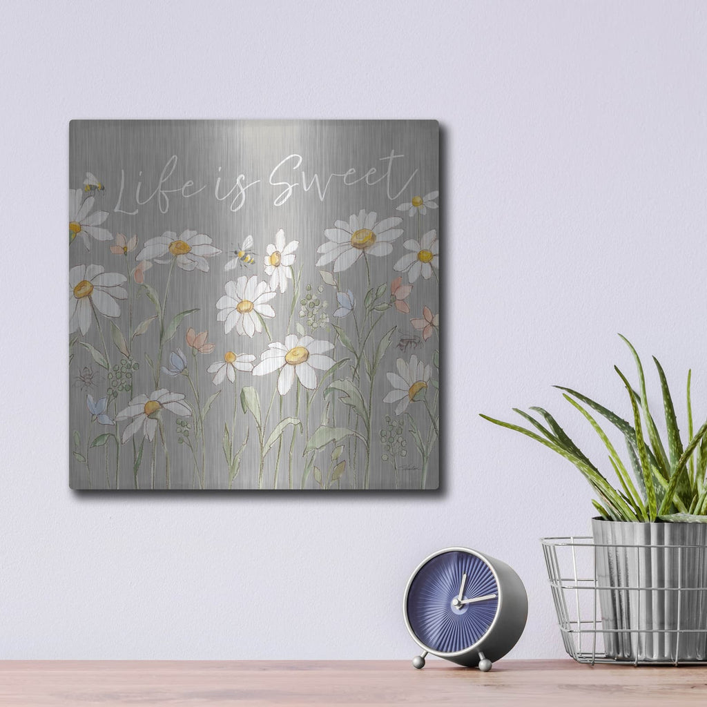 'Daisy Field 4 Sq' by Silvia Vassileva – Metal Wall Art, 12x12 room view