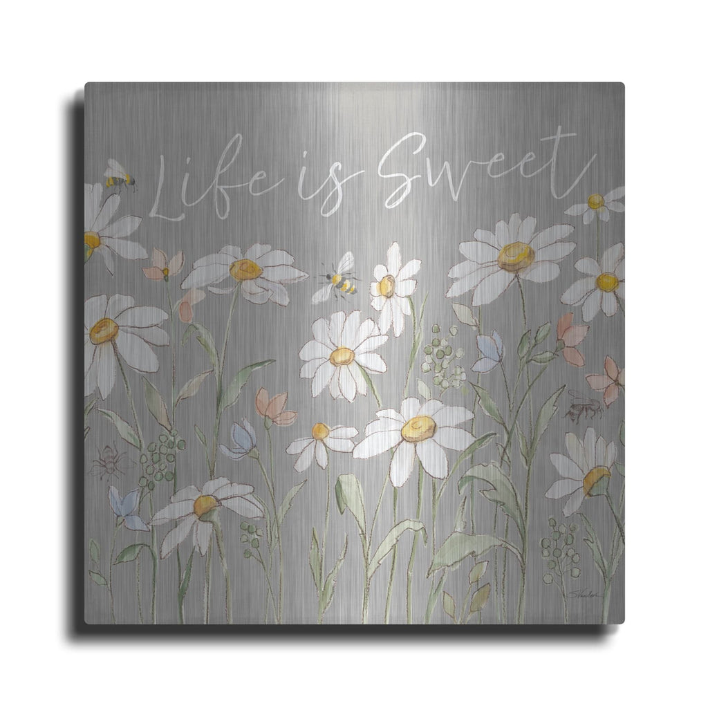 'Daisy Field 4 Sq' by Silvia Vassileva – Metal Wall Art