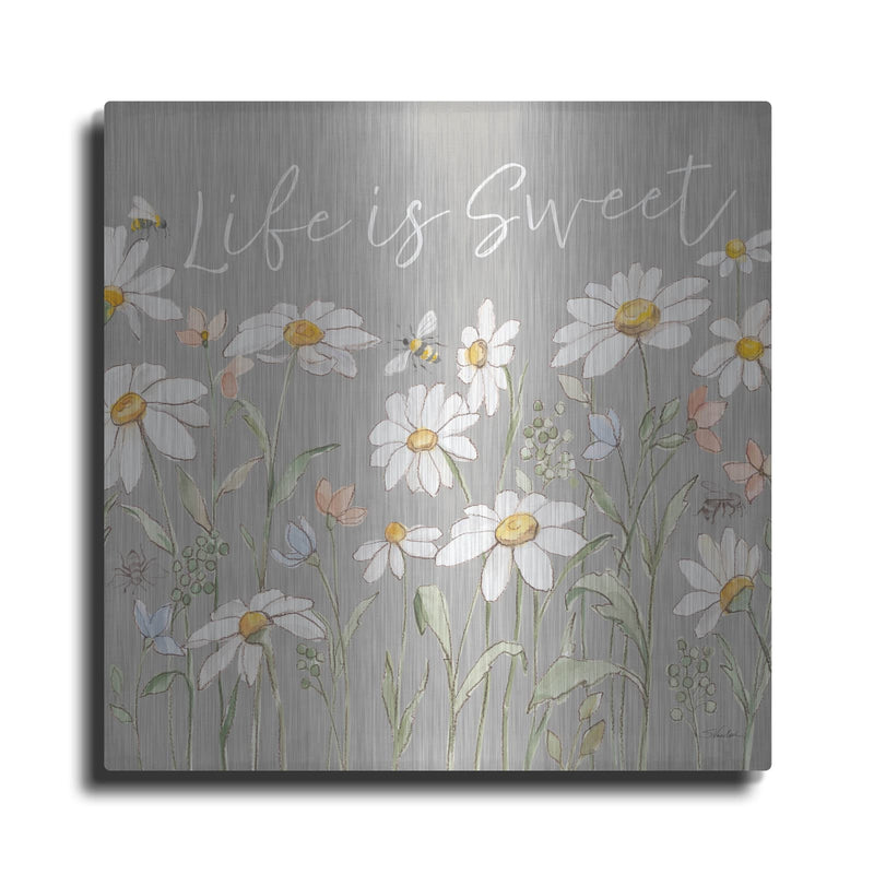 'Daisy Field 4 Sq' by Silvia Vassileva – Metal Wall Art
