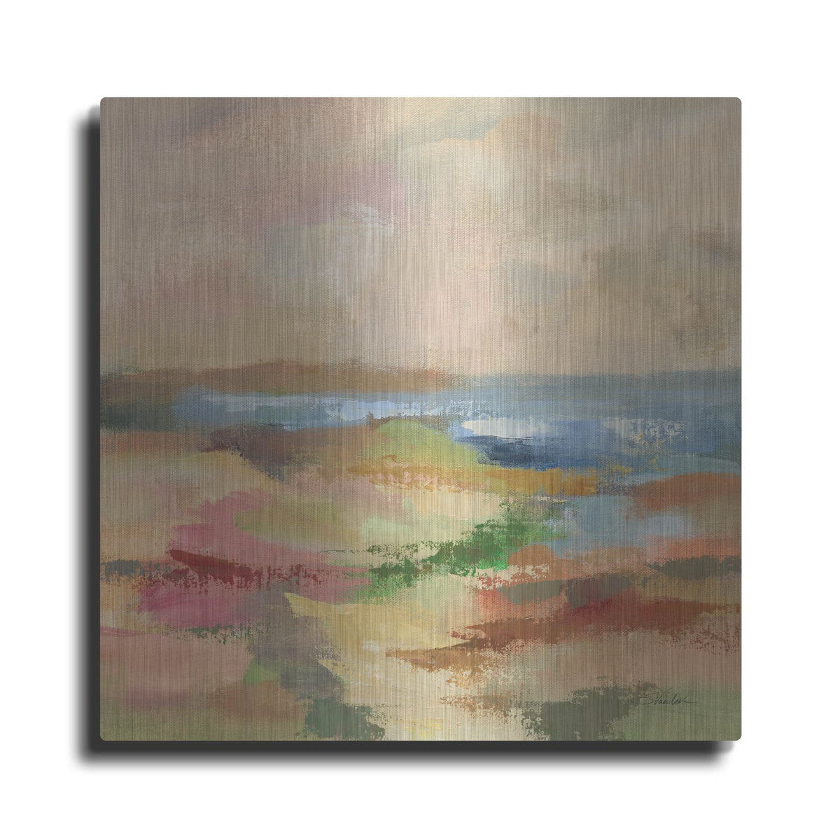 'Earth Day 1' by Silvia Vassileva – Metal Wall Art