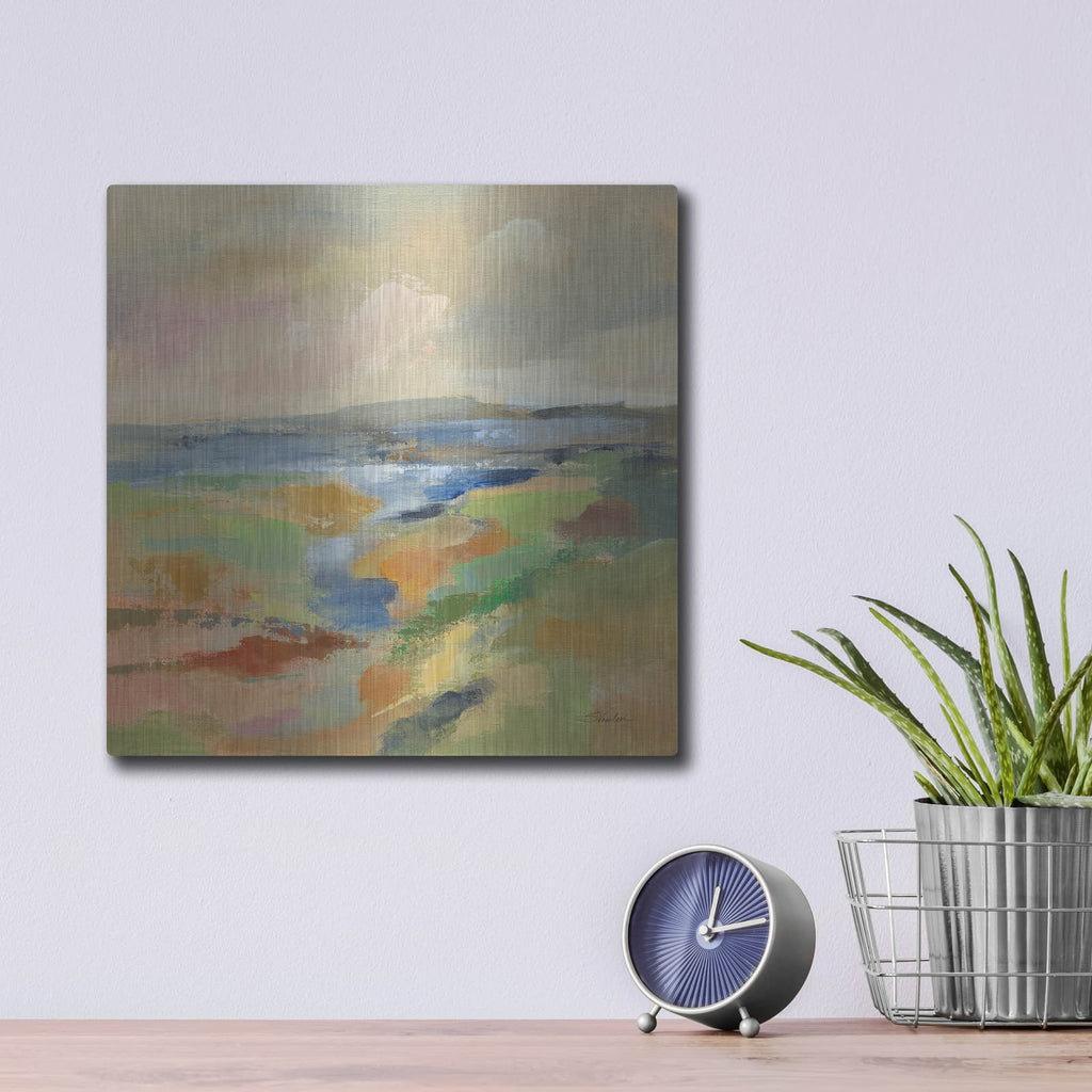 'Earth Day 2' by Silvia Vassileva – Metal Wall Art, 12x12 room view