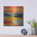 'Flower Hill Sunset 2' by Silvia Vassileva – Metal Wall Art, 12x12 room view