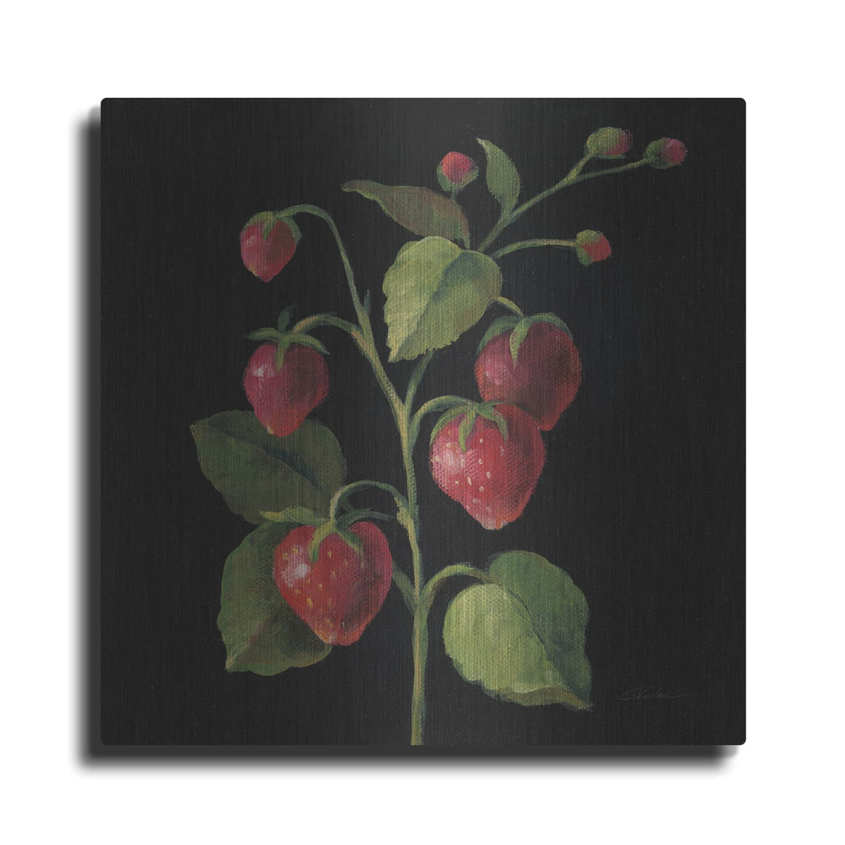 'Fraise No Words' by Silvia Vassileva – Metal Wall Art