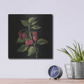 'Framboise No Words' by Silvia Vassileva – Metal Wall Art, 12x12 room view