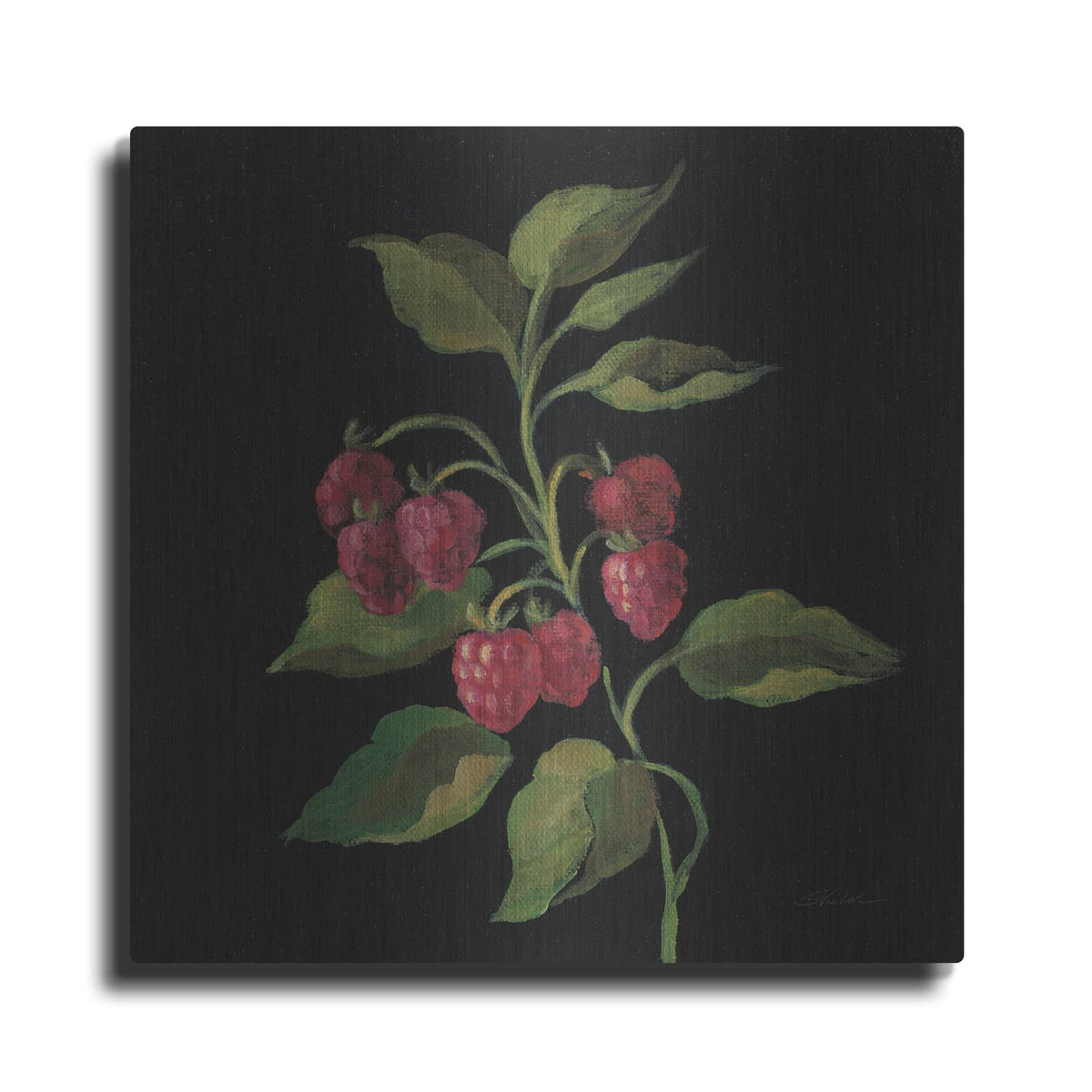 'Framboise No Words' by Silvia Vassileva – Metal Wall Art