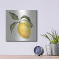 'Le Citron On Cream' by Silvia Vassileva – Metal Wall Art, 12x12 room view