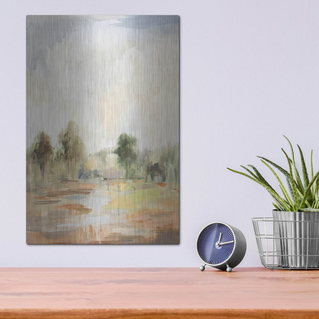 'Light Summer Rain 2' by Silvia Vassileva – Metal Wall Art, 12x16 room view