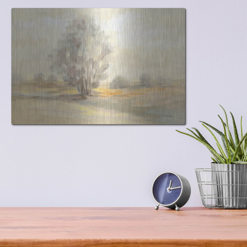 'Muted Light' by Silvia Vassileva – Metal Wall Art, 16x12 room view