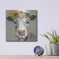 'Pretty Cow' by Silvia Vassileva – Metal Wall Art, 12x12 room view