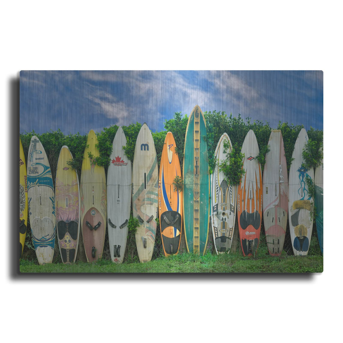 'Surfboards' by Dennis Frates – Metal Wall Art