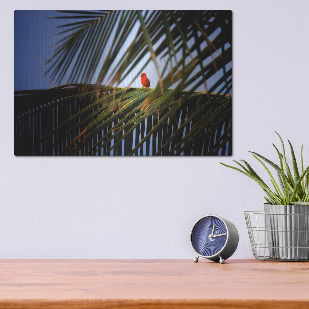 'Cardinal' by Dennis Frates – Metal Wall Art, 16x12 room view