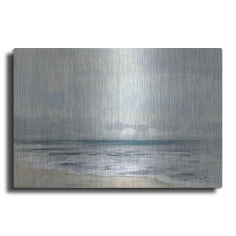 'Stormy Morning' by Silvia Vassileva – Metal Wall Art