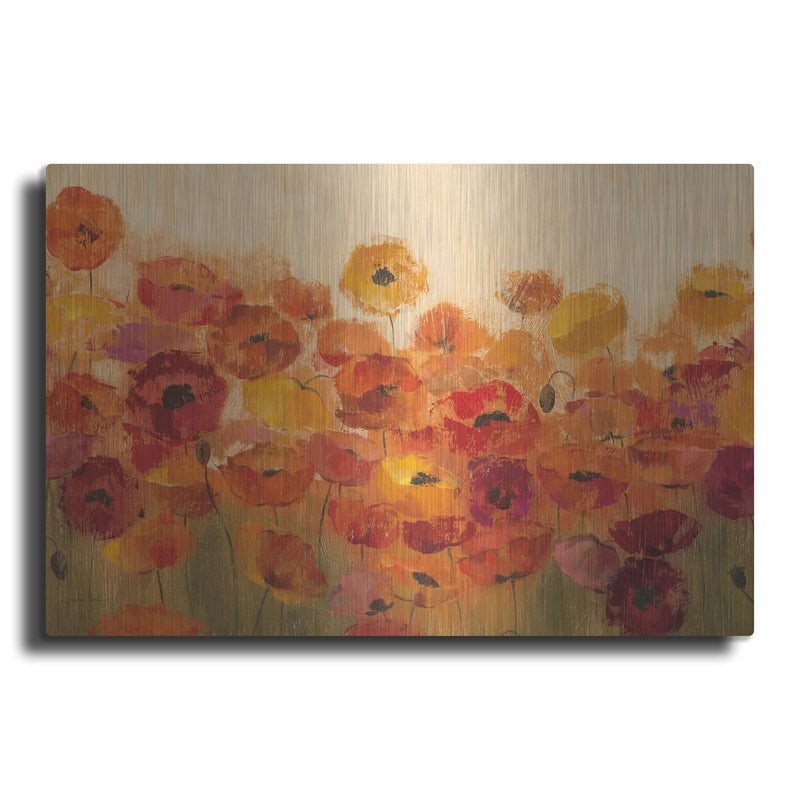 'Summer Poppies' by Silvia Vassileva – Metal Wall Art