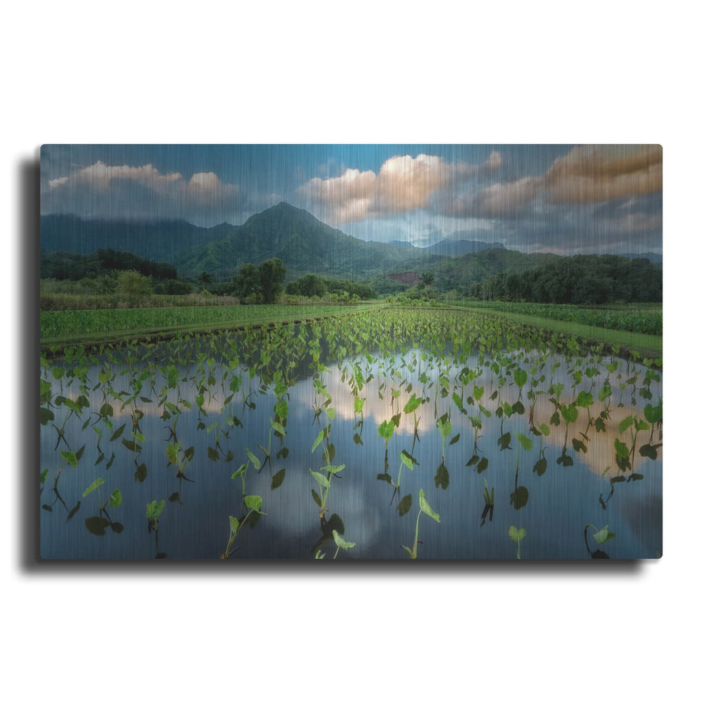 'Emerald Landscape' by Dennis Frates – Metal Wall Art