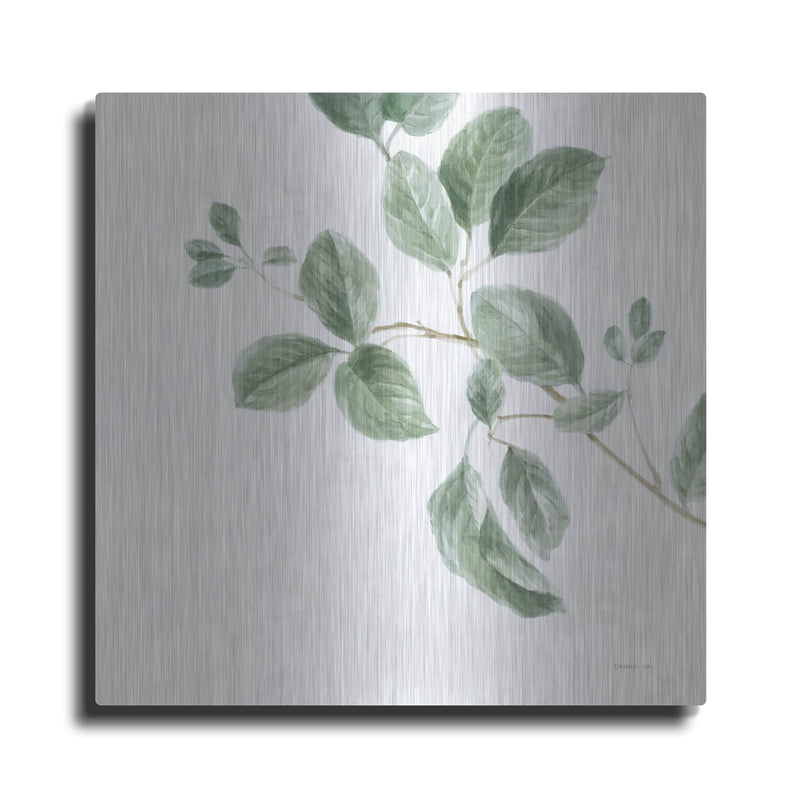 'A Study Of Leaves' by Danhui Nai – Metal Wall Art