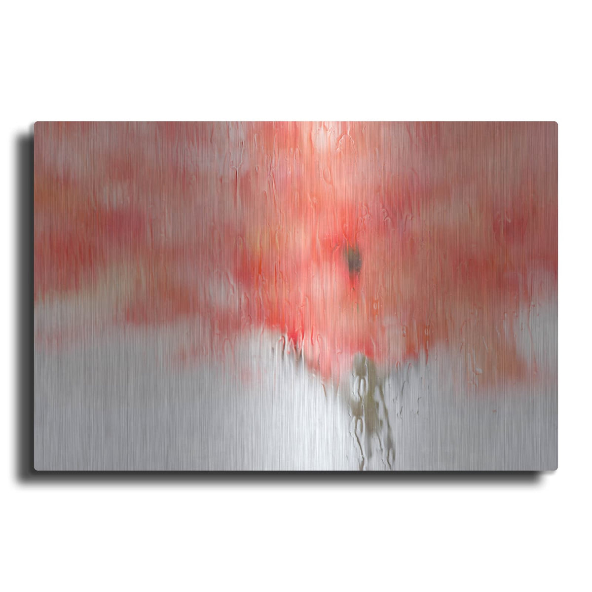 'Coral Window' by Dennis Frates – Metal Wall Art