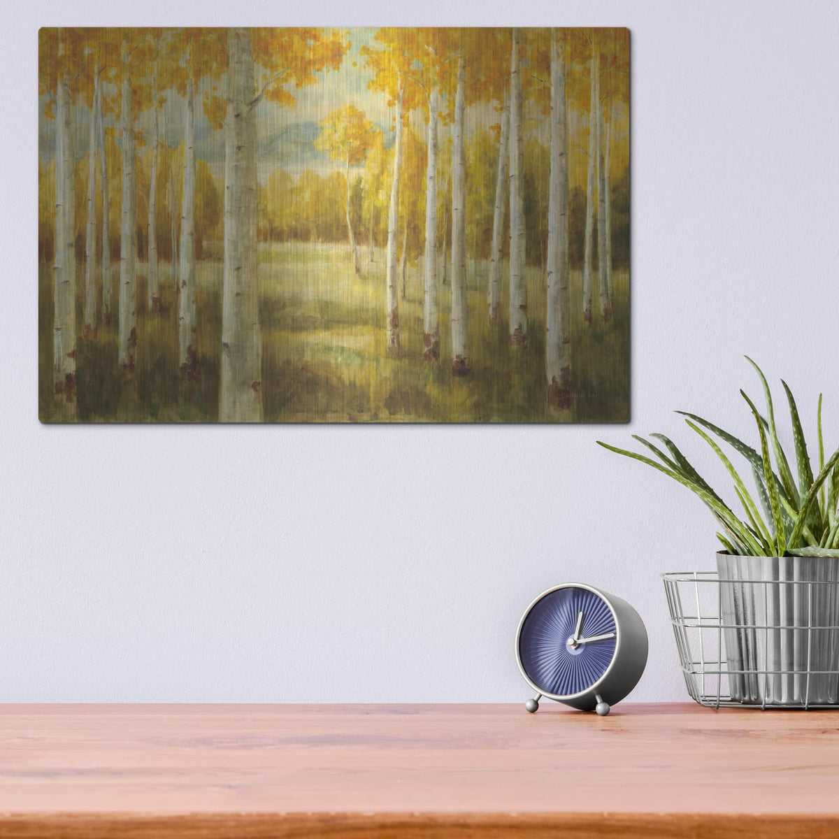 'Aspen Birches' by Danhui Nai – Metal Wall Art, 16x12 room view