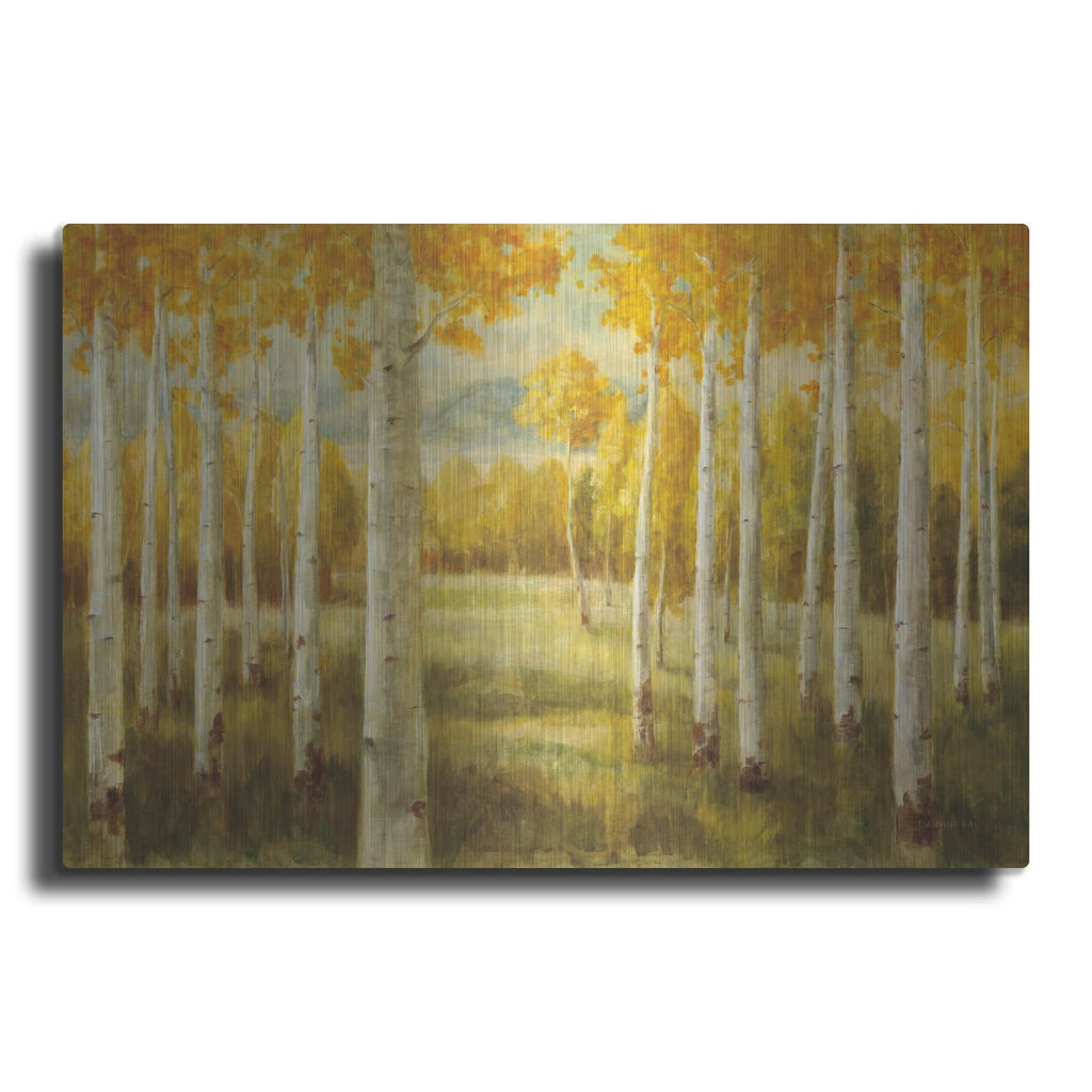 'Aspen Birches' by Danhui Nai – Metal Wall Art