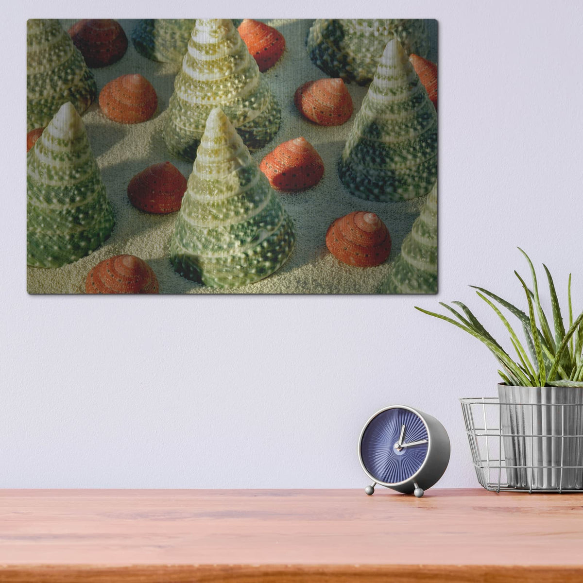 'Tree Shells' by Dennis Frates – Metal Wall Art, 16x12 room view