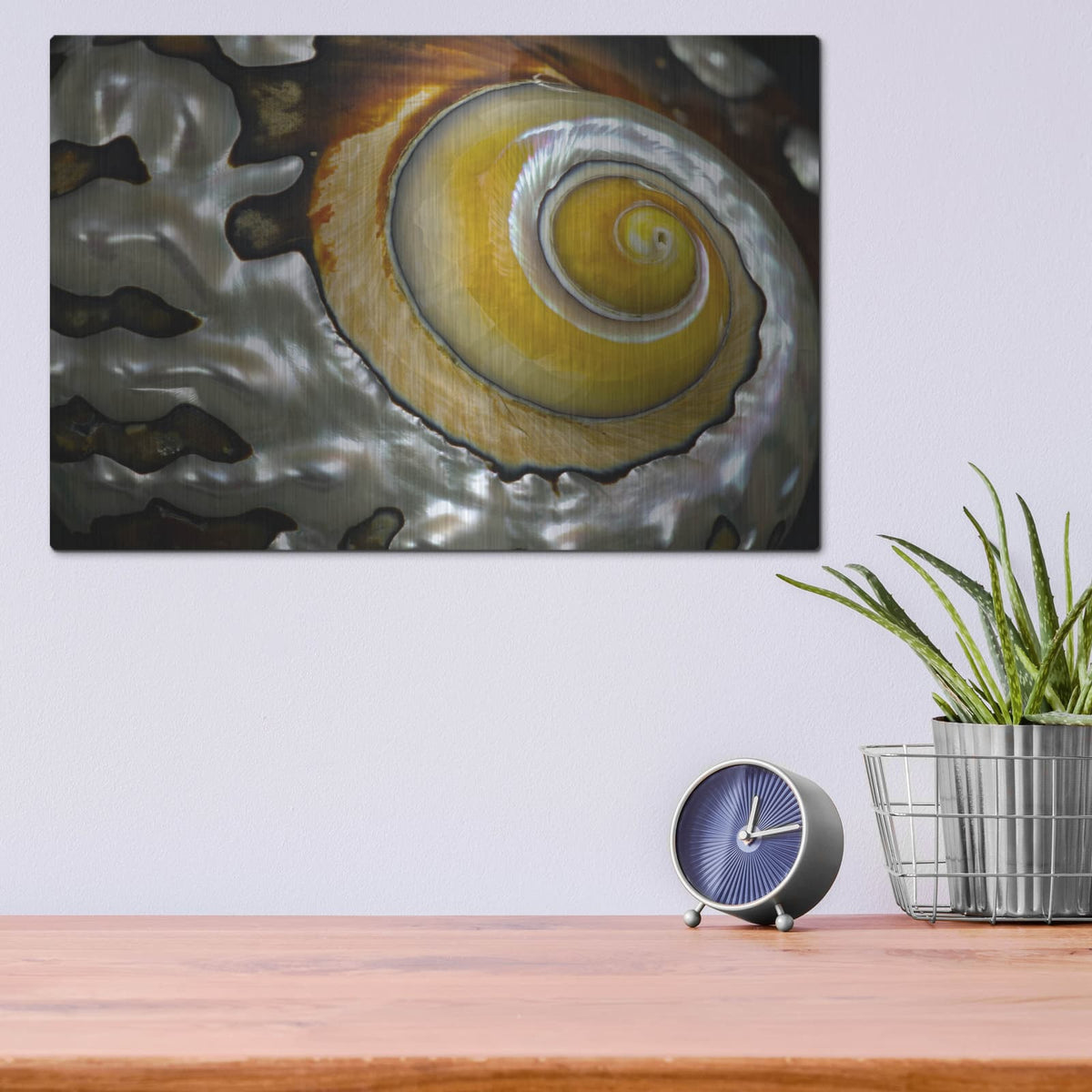 'Shell Spiral II' by Dennis Frates – Metal Wall Art, 16x12 room view