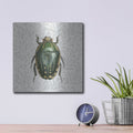 'Beetles And Butterflies 2' by Danhui Nai – Metal Wall Art, 12x12 room view