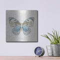 'Beetles And Butterflies 4' by Danhui Nai – Metal Wall Art, 12x12 room view