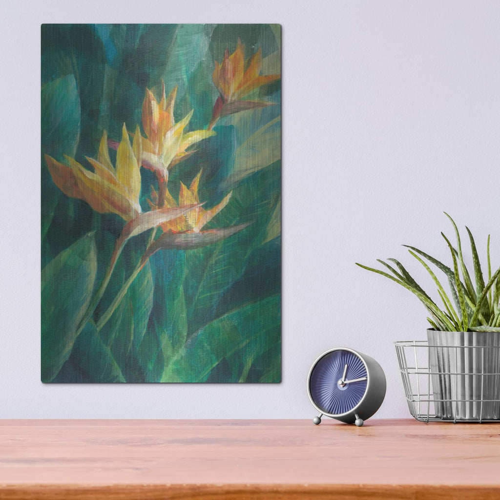 'Bird Of Paradise 1 C' by Danhui Nai – Metal Wall Art, 12x16 room view