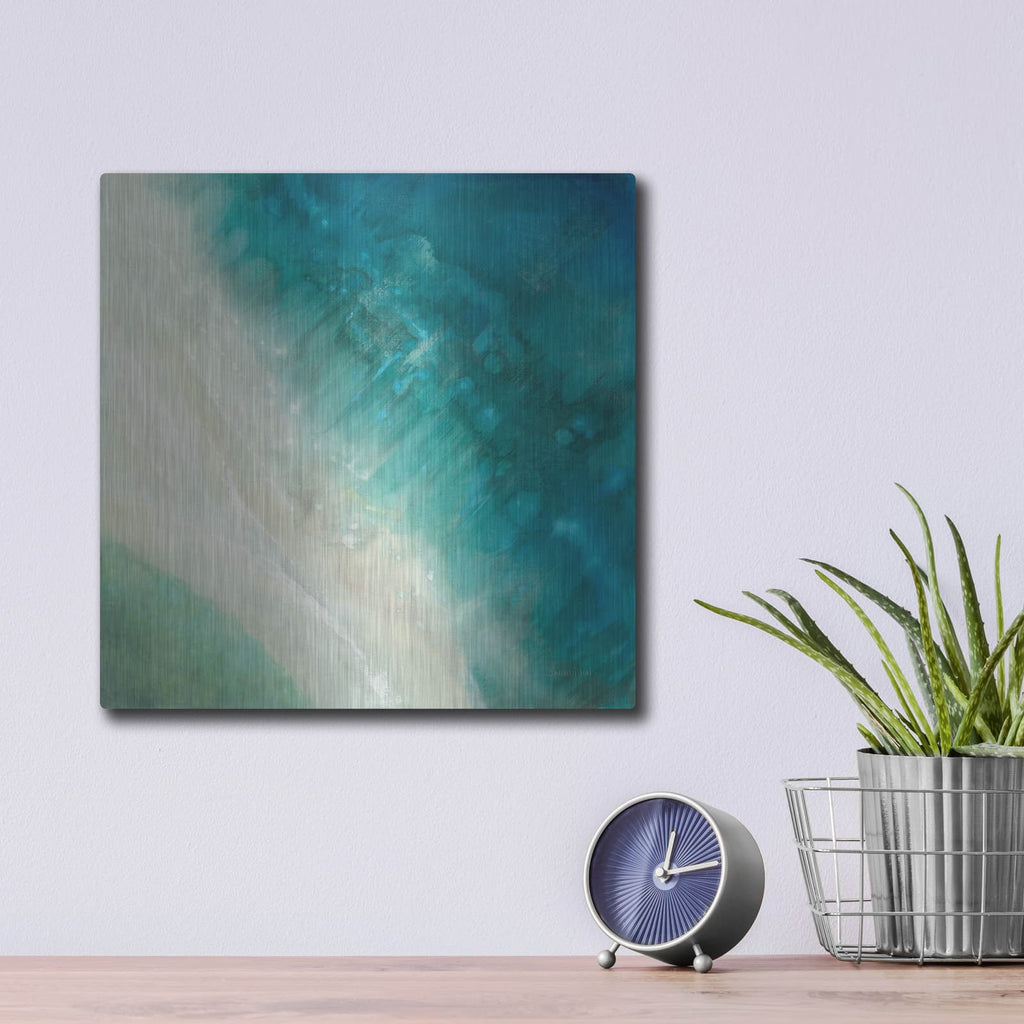 'Birdseye View' by Danhui Nai – Metal Wall Art, 12x12 room view