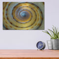 'Shell Spiral IV' by Dennis Frates – Metal Wall Art, 16x12 room view